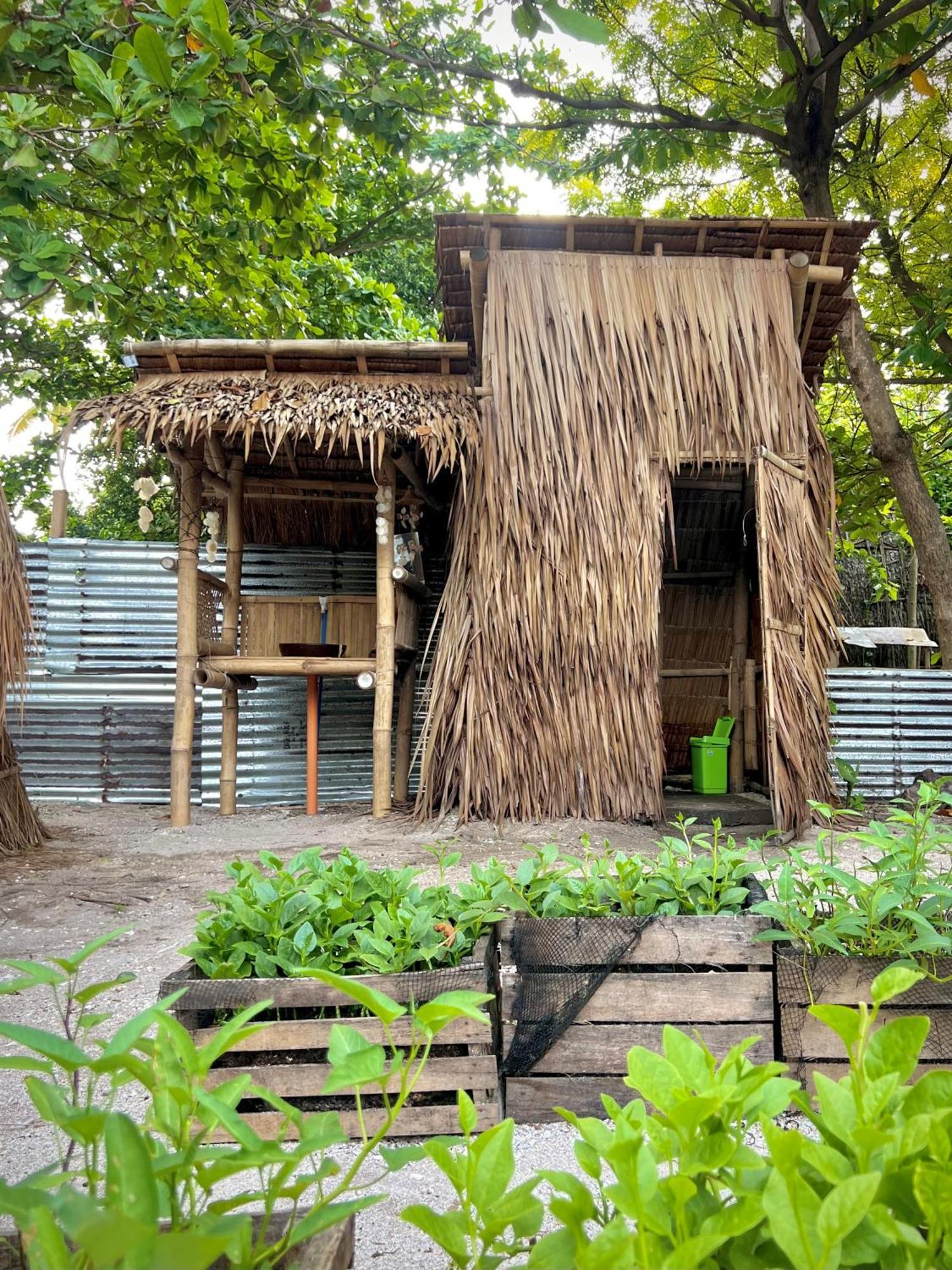Tribal Huts Community Daanbantayan Quarto foto