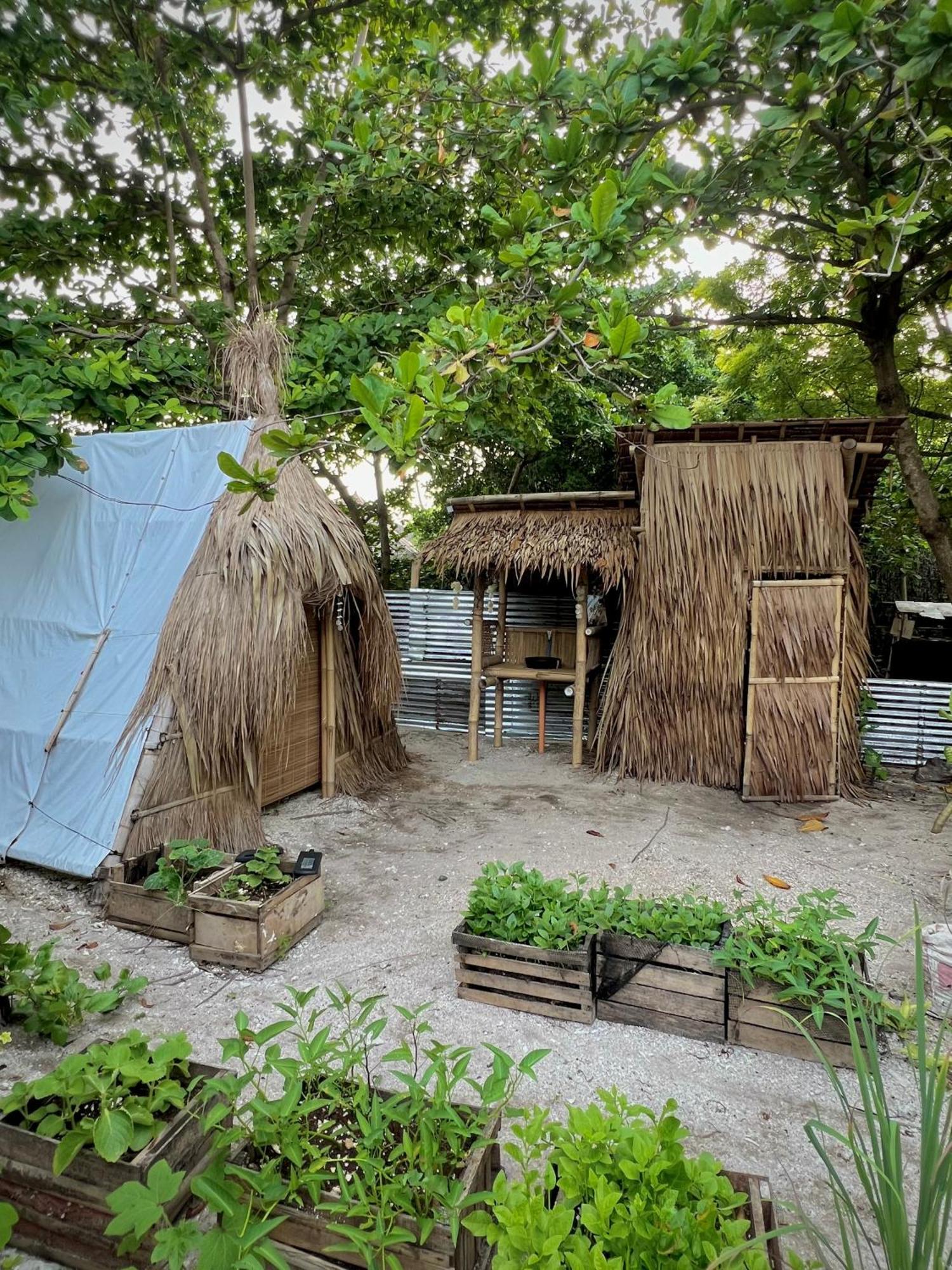 Tribal Huts Community Daanbantayan Exterior foto